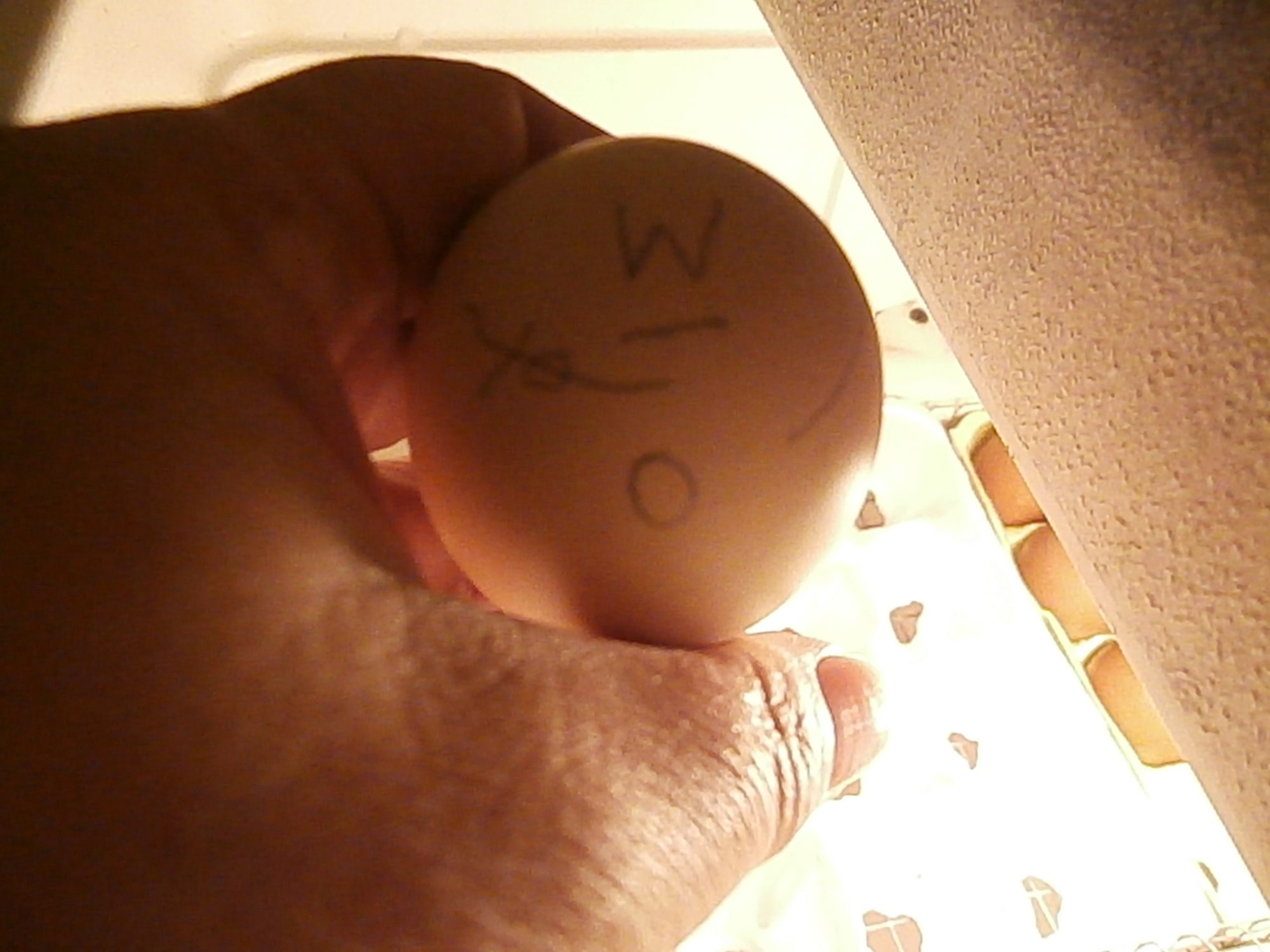 50x50px-ZC-50d9ab0a_eggw.jpeg