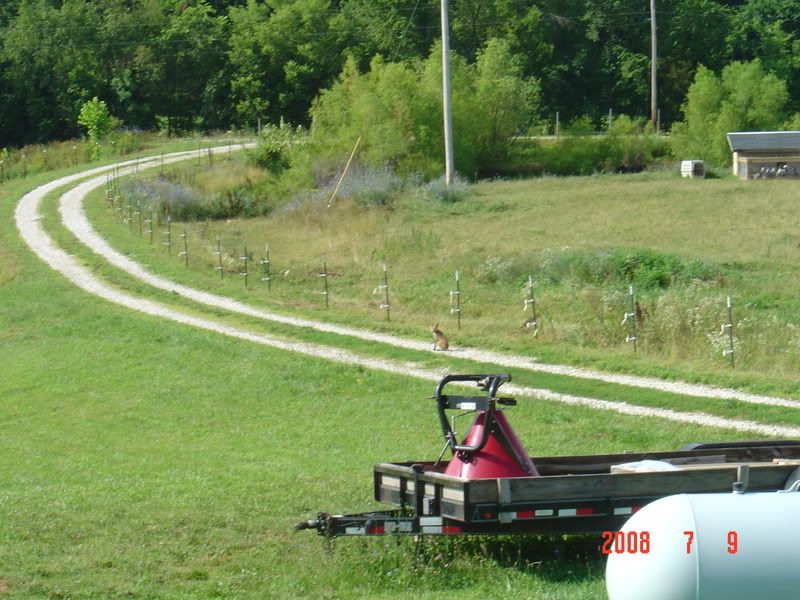 July92008192.jpg