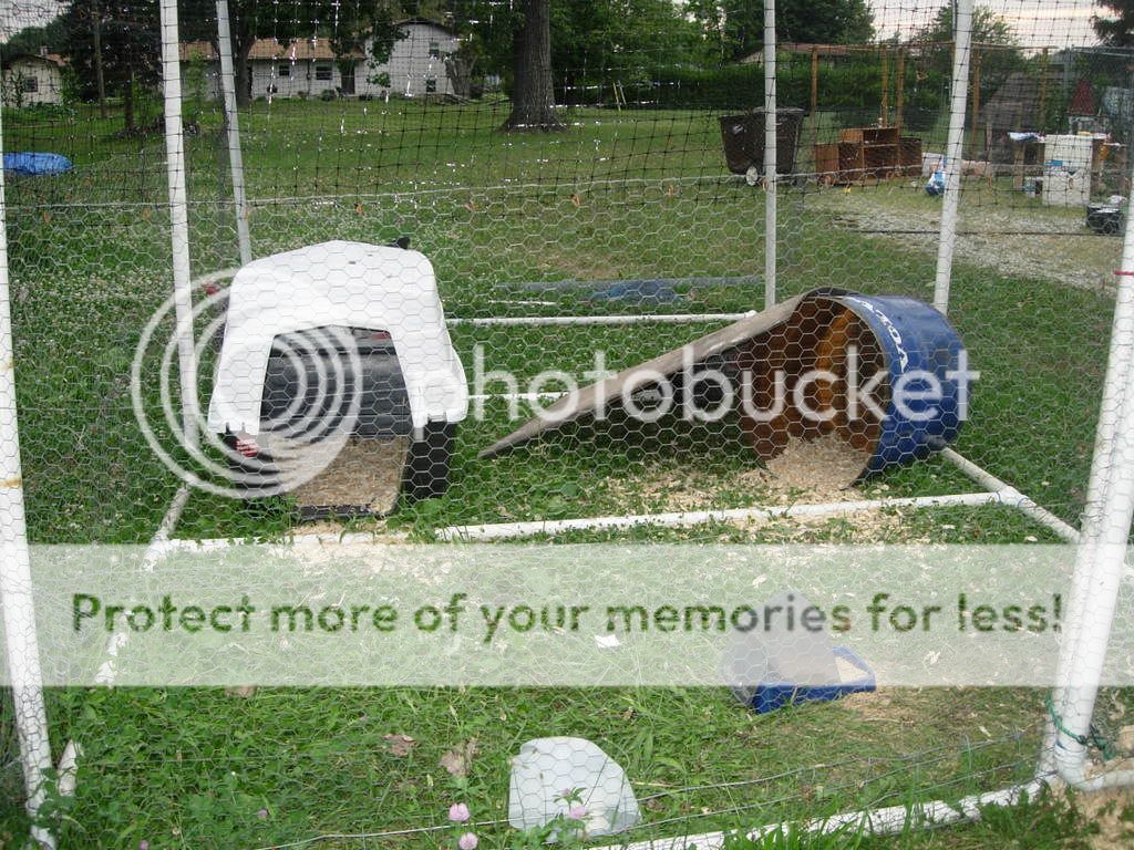 DSCN2839.jpg