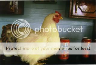 boots-1.jpg