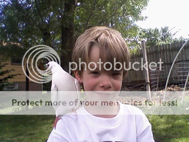 pauldove.jpg