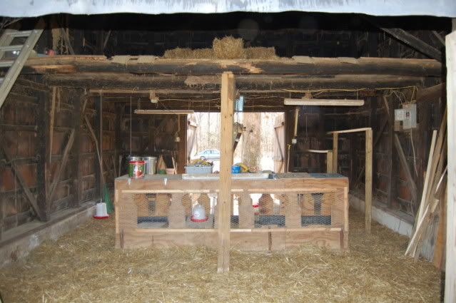 DSC_0076.jpg