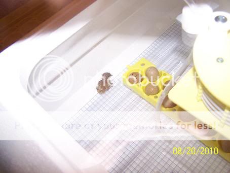 100_5742.jpg
