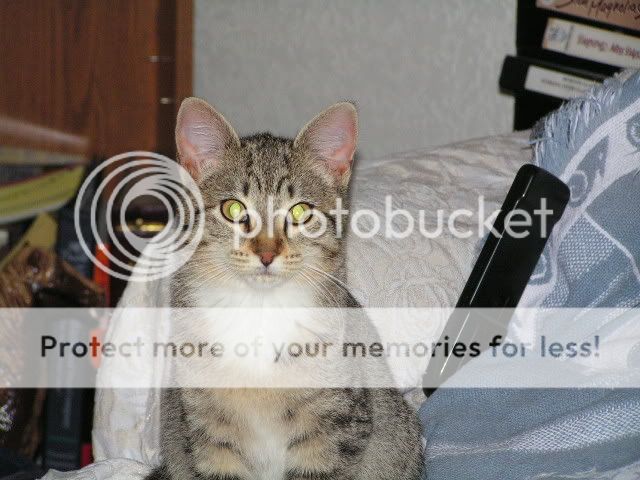 PICT0018.jpg
