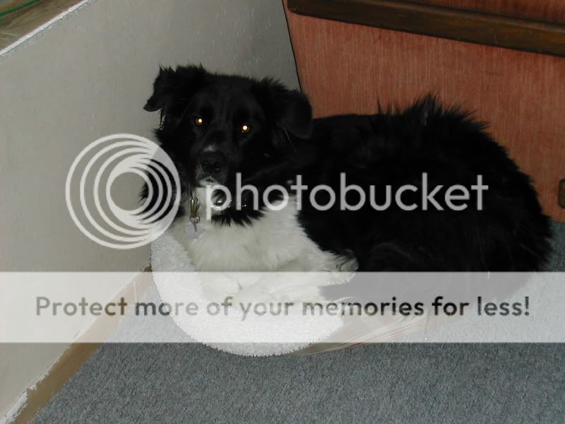 DSCN4955.jpg