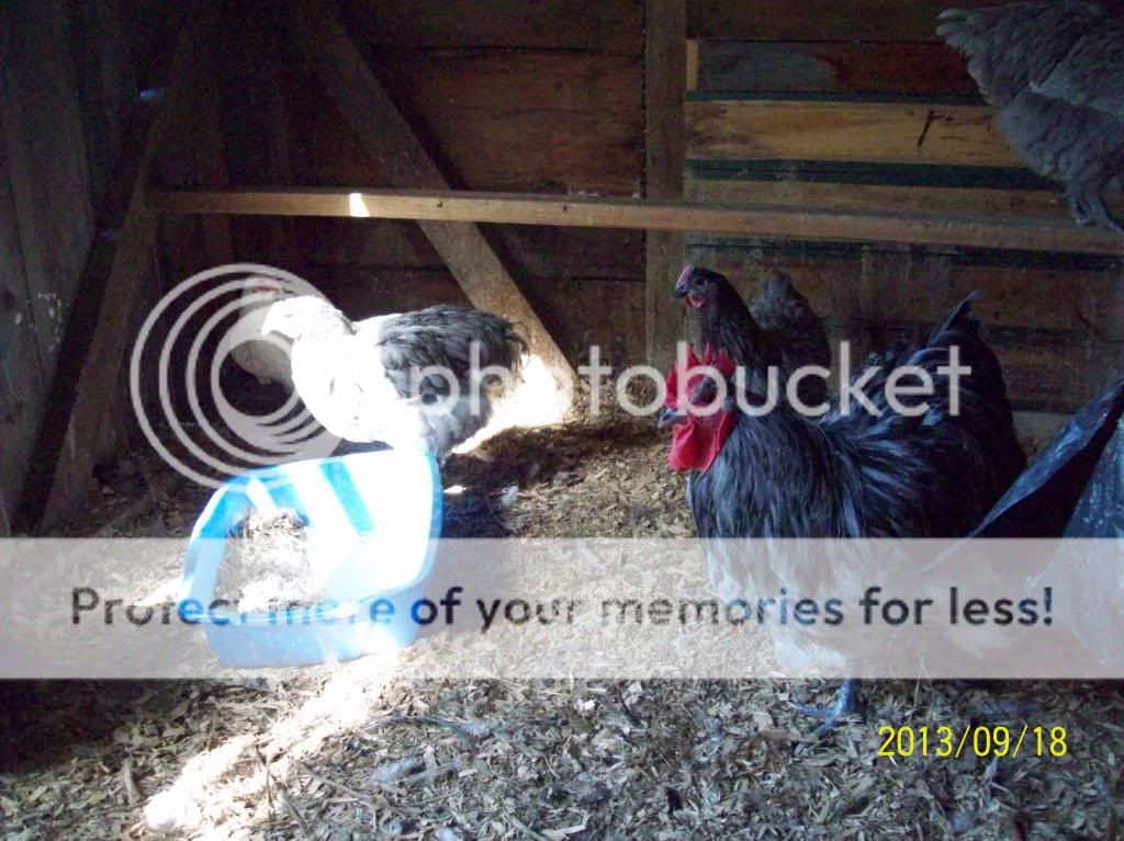 Picture009.jpg
