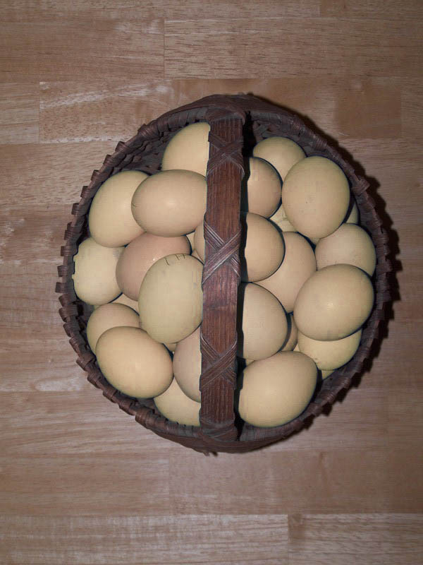 blueeggs1.jpg