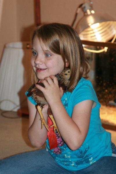 041-400x600.jpg