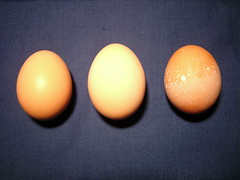 3841669205_29e0062977_m.jpg