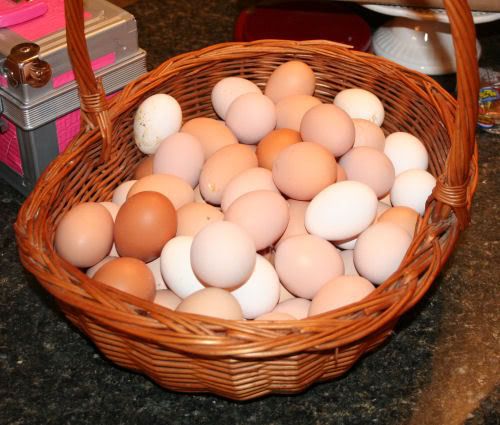 eggbasket.jpg