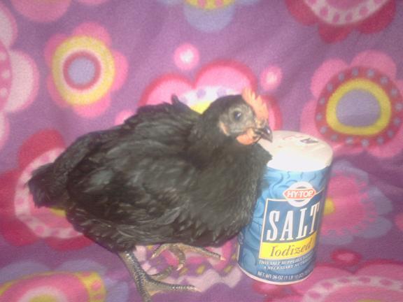 bigman5wks.JPG