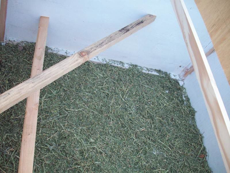 100_1116.jpg