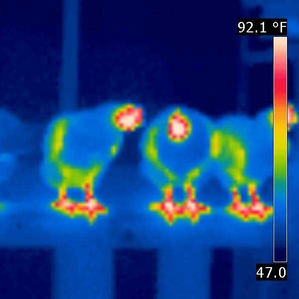 IR_0163.jpg