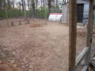 Yard2.jpg