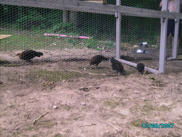 IMGP0302.jpg