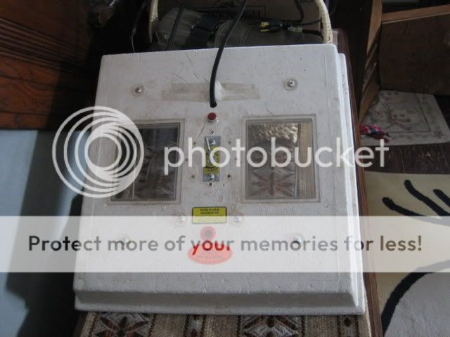 Picture044.jpg