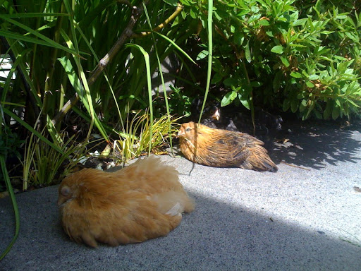 photo%2816%29.jpg