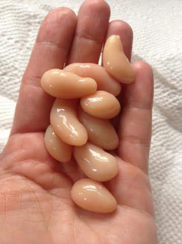 chix%2Bnuts.jpg