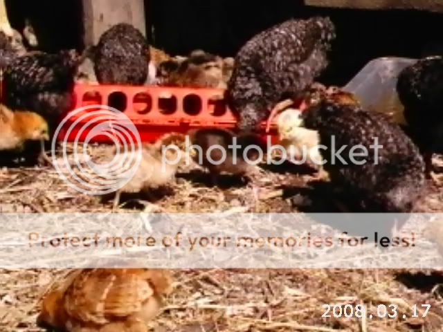 PHOT0170.jpg