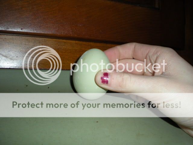 DSCN0103.jpg