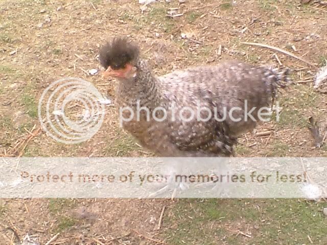 DSCF5051.jpg