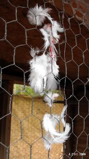 2009_11290017.jpg