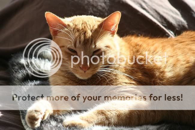 leroy.jpg