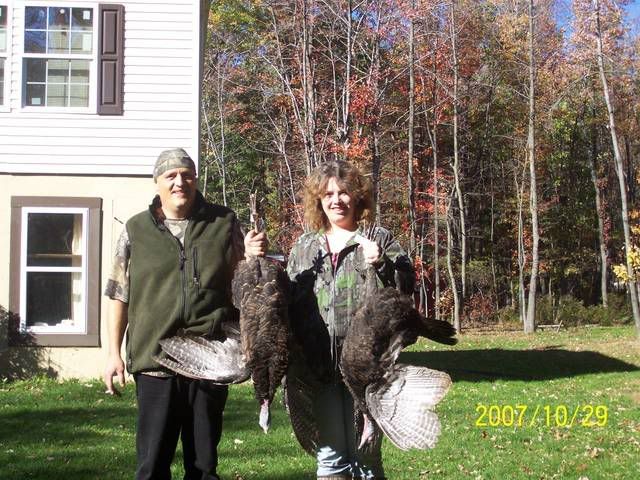 wildhens003.jpg