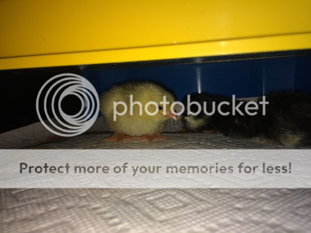 91917E6F-FA4E-49A9-AD84-FE09C97BE536.jpg
