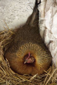 38610230-1c48-3ea6-a62e-da50be539c0c