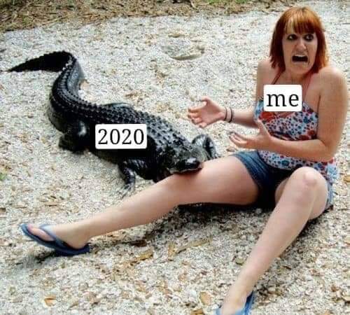 ZxN1DMA.jpg