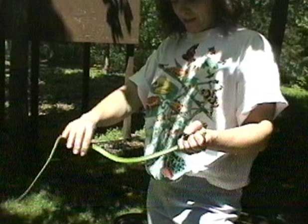 RoughGreenTreeSnake.jpg