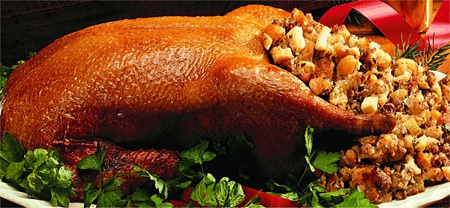 Roasted_Duck_with_Apple-Raisin_Dressing.jpg