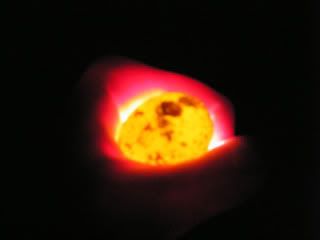candlequail004copy.jpg