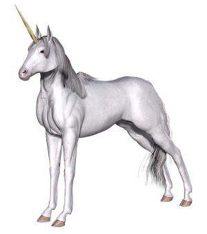 unicorn-2045876__340.png