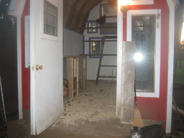 100_0010.jpg