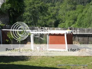 DSCN1137.jpg