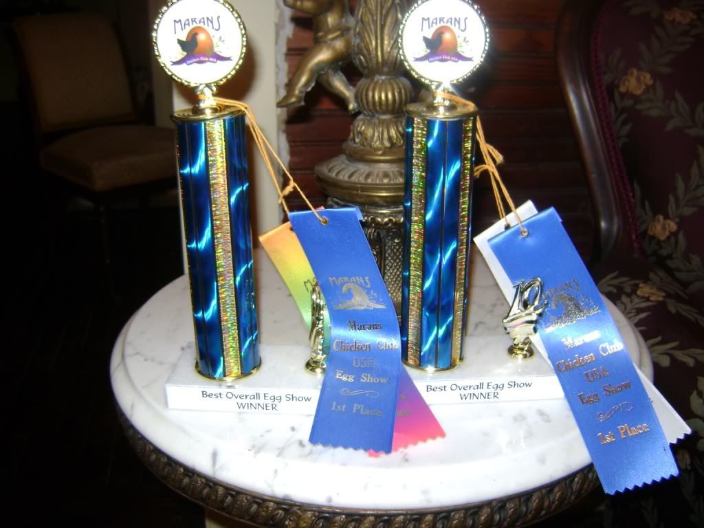 trophies.jpg
