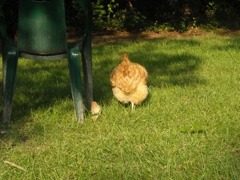 MomandChicklet.jpg