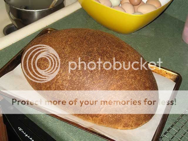 StepsforHoneyWheatBread024.jpg