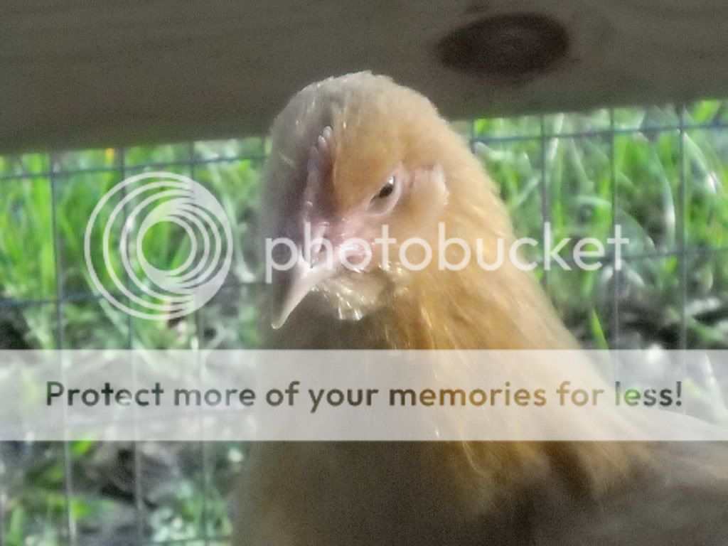 may192011049.jpg