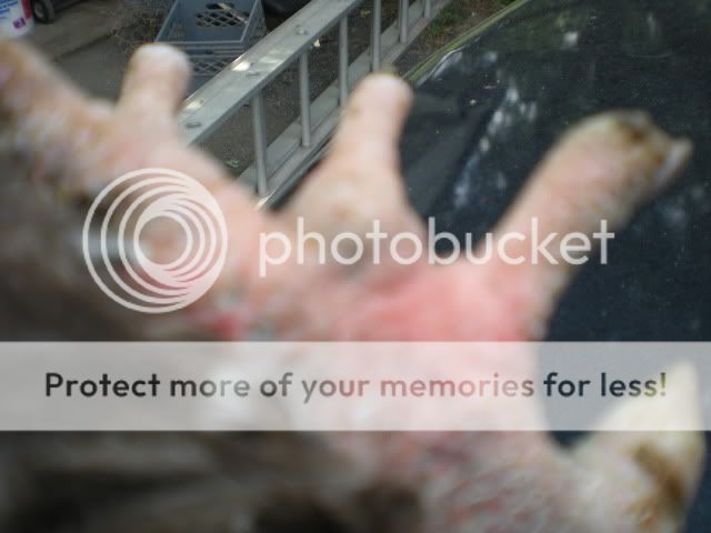DSCN1102.jpg