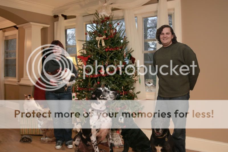 ChristmasCard2010.jpg