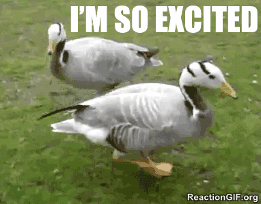 GIF-duck-excited-Im-so-excited-GIF.gif