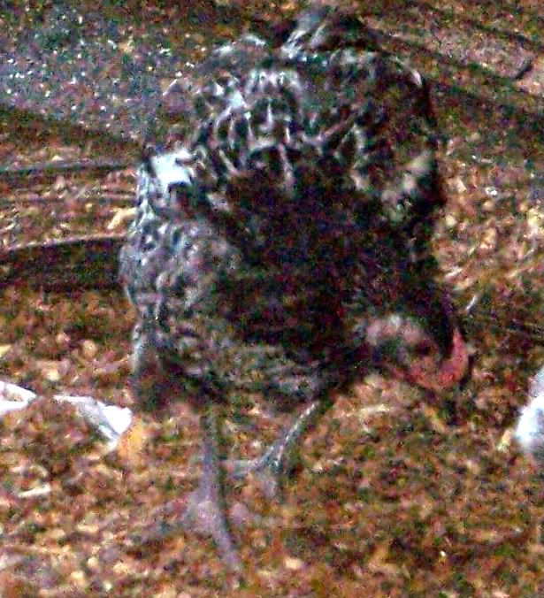 100_0587.jpg