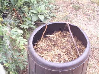 2007-8-9compostbins002.jpg