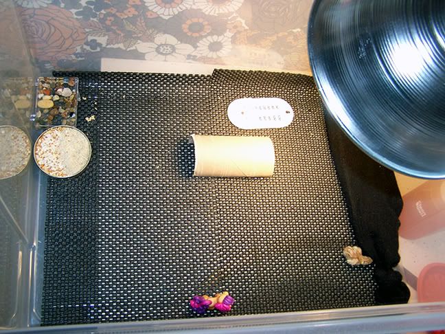 enclosure1.jpg