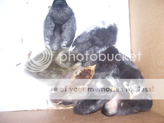 100_2571.jpg