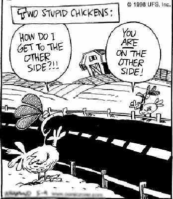 chickens.jpg