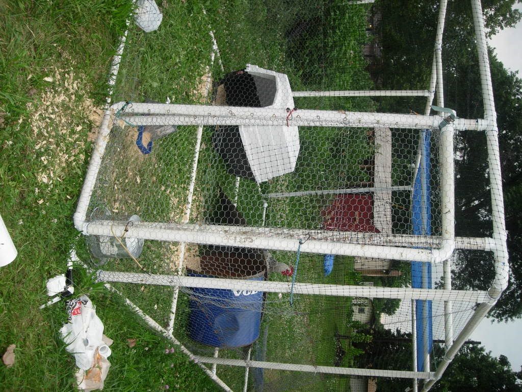 DSCN2838.jpg